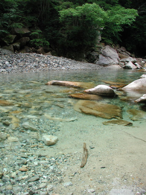 img0004.jpg