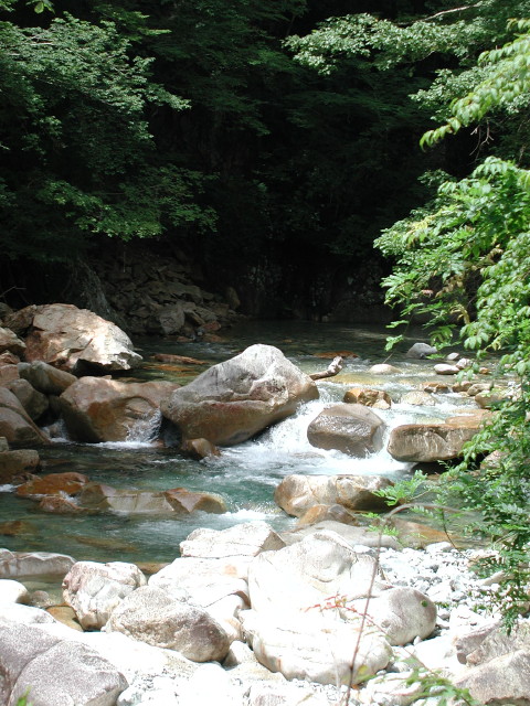 img0007.jpg