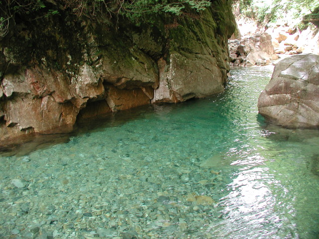 img0009.jpg