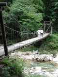 img0000.jpg