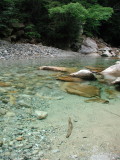img0004.jpg