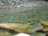 img0005.jpg