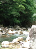 img0006.jpg