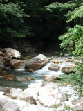 img0007.jpg