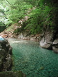img0010.jpg