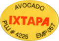 x ixtapa