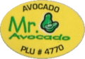 x mr avocado