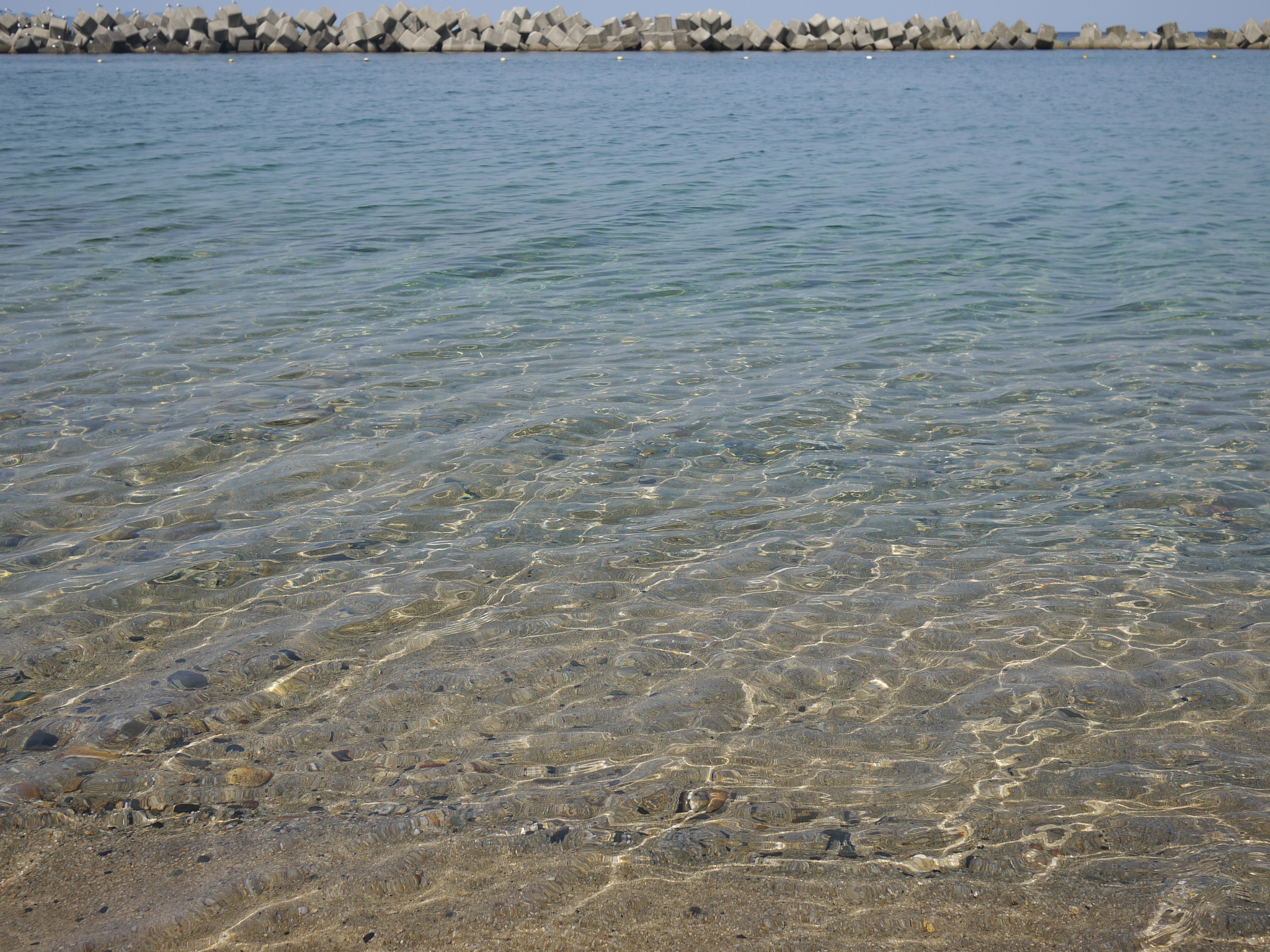 透き通った海
