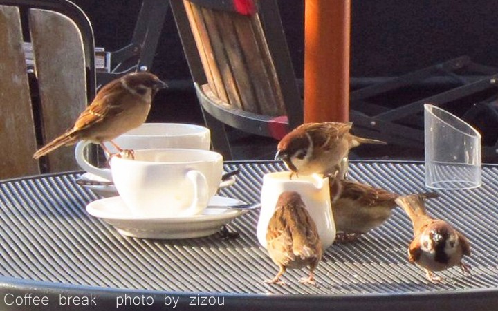 coffee break