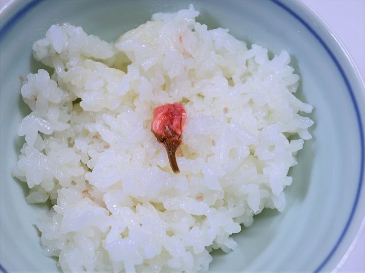 さくらご飯