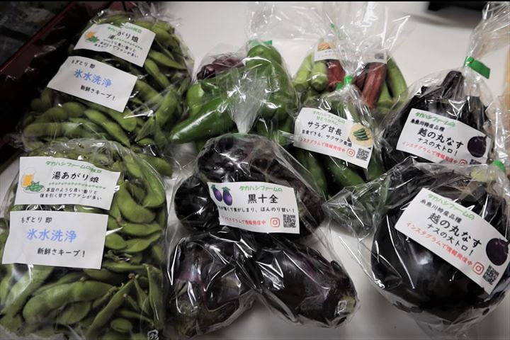夏野菜