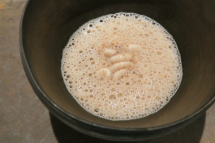 白子
