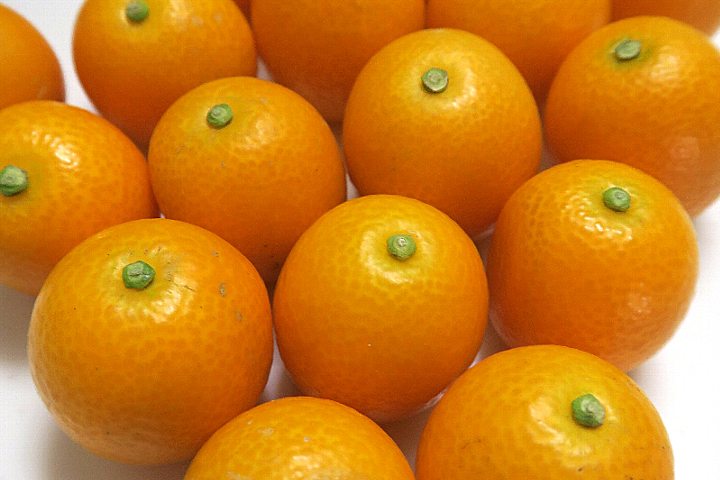 きんかん