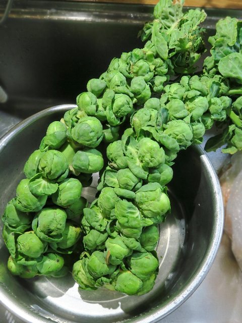 芽キャベツ