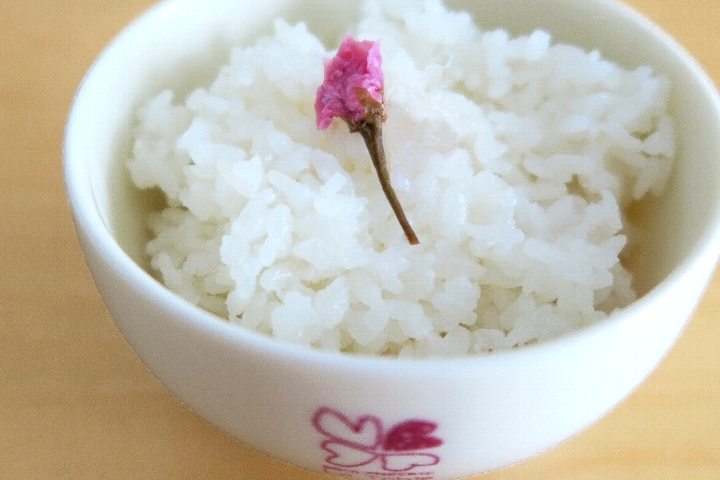 さくらご飯