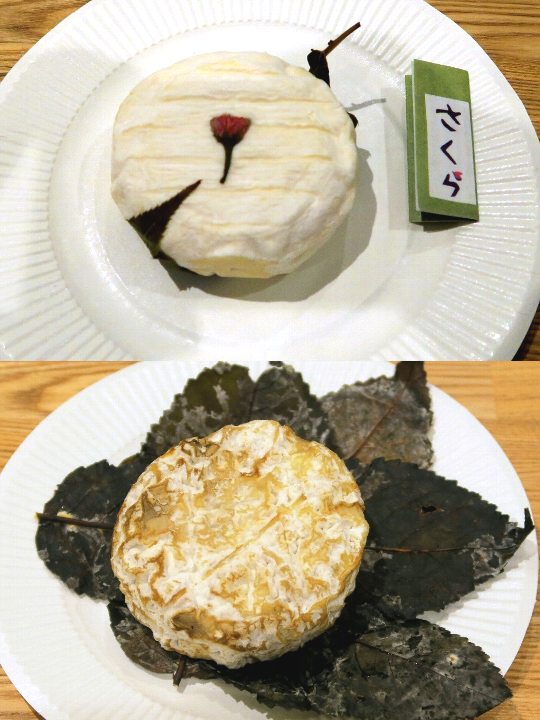 桜にちなんだチーズ