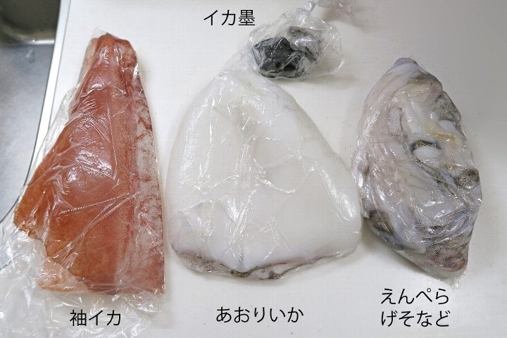 あおりいか