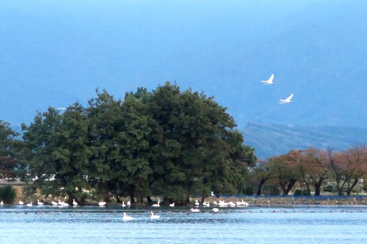 瓢湖