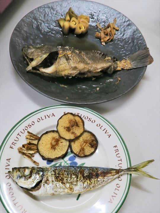 鯵の香草焼きとハチメ煮つけ