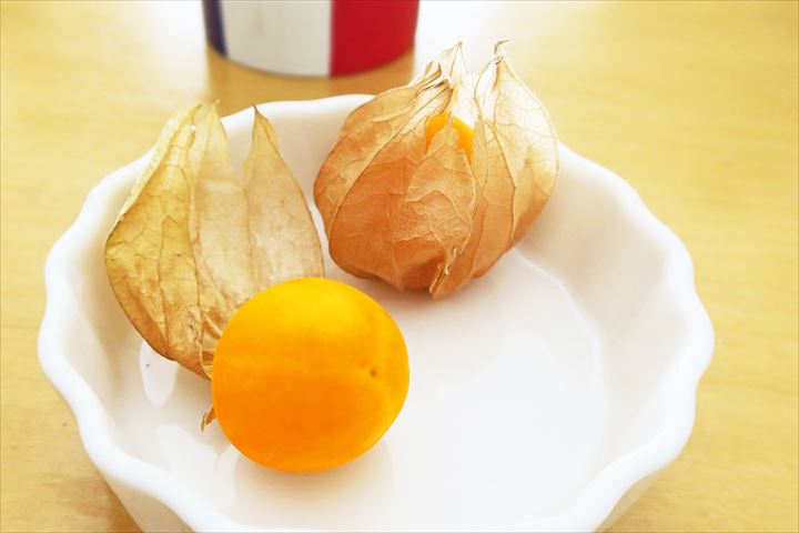 食用ほうずき