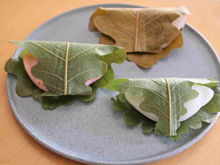 たねやの柏餅