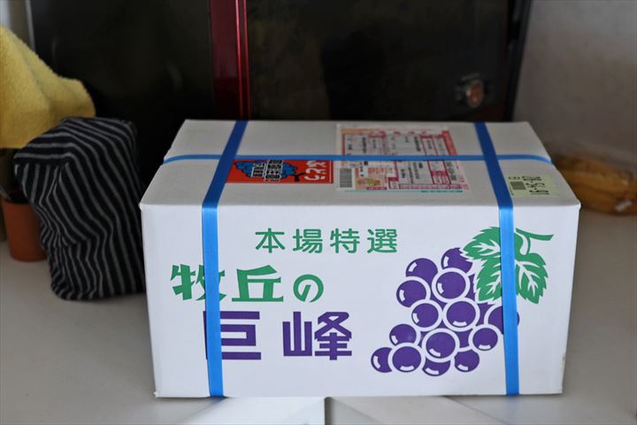巨峰