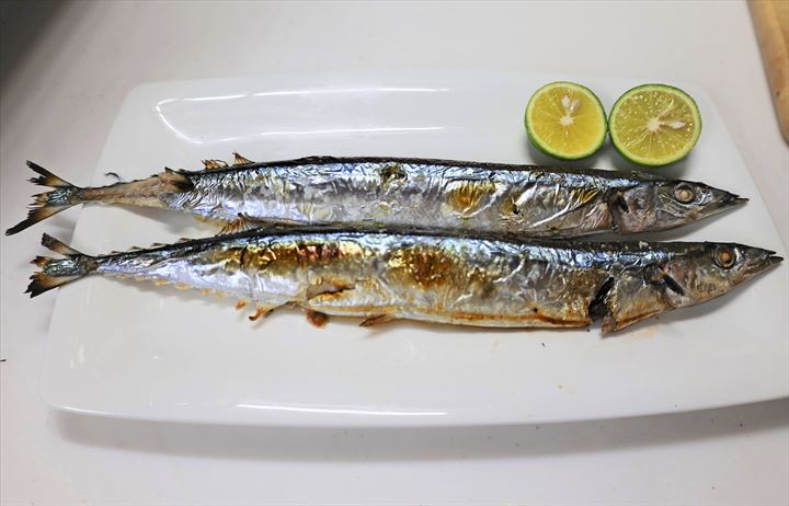 秋刀魚