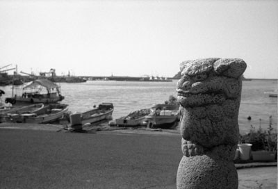 試写