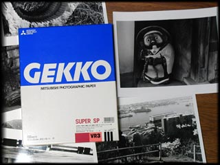 GEKKO