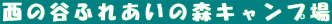 ̒Jӂꂠ̐XLv
