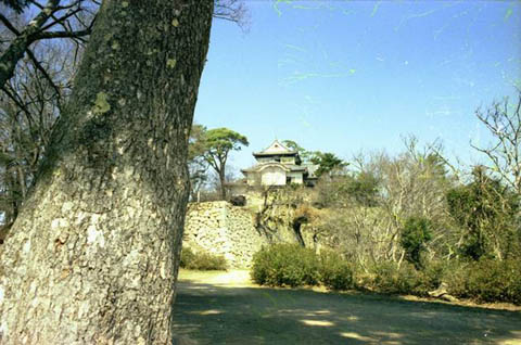 備中松山城：二の丸より望む天守 １９７９年頃 櫓はまだ復元されてません