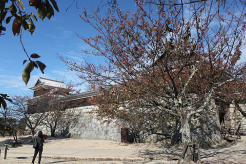 松山城：太鼓門(右端)に太鼓櫓(左端)