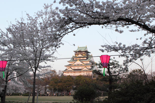 大坂城：西の丸庭園の桜に天守
