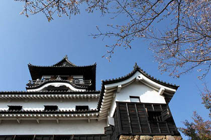 犬山城：於・本丸 天守を見上げる、右には付櫓