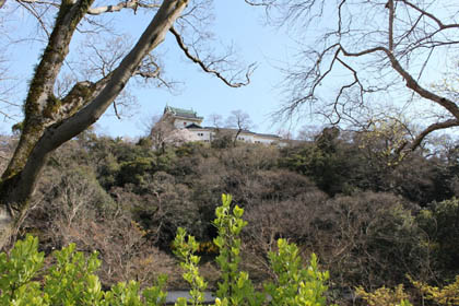 和歌山城：二の丸から天守を望む