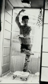 �C���~�̃V�F�[