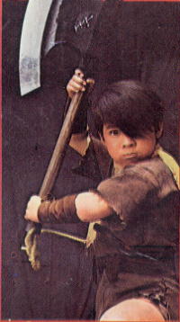 少年忍者ワタリ