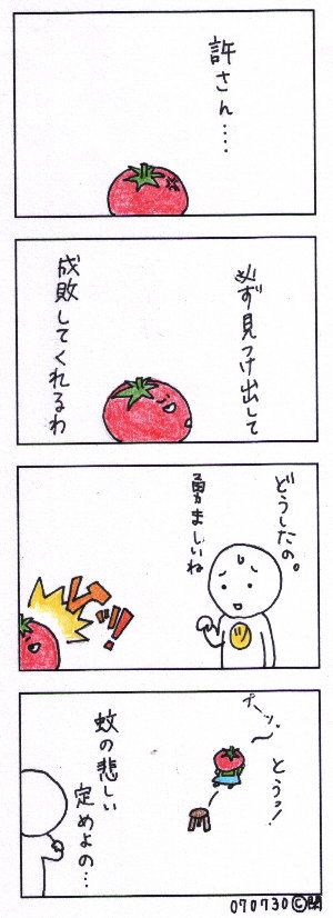 tomato.no23