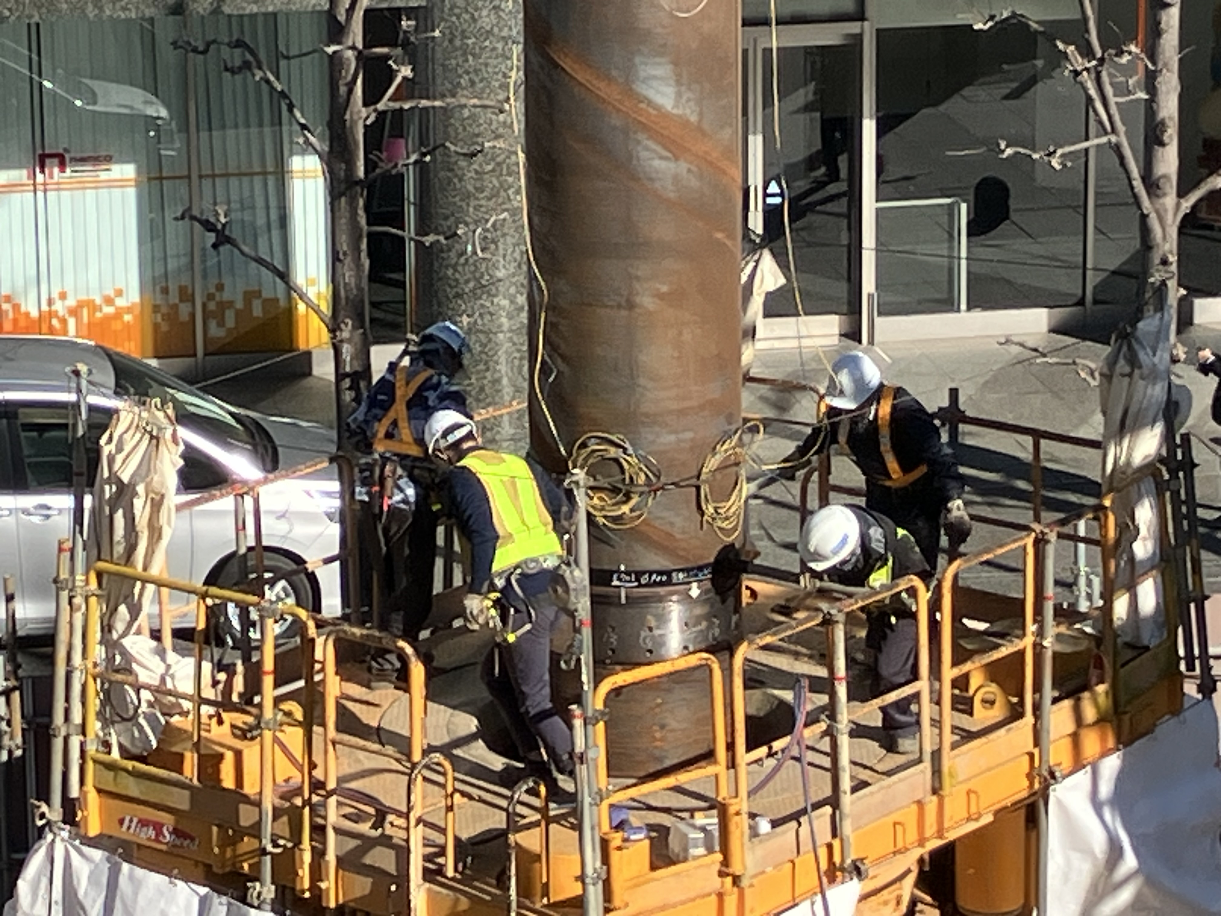 �΂��Y�{�H�Q