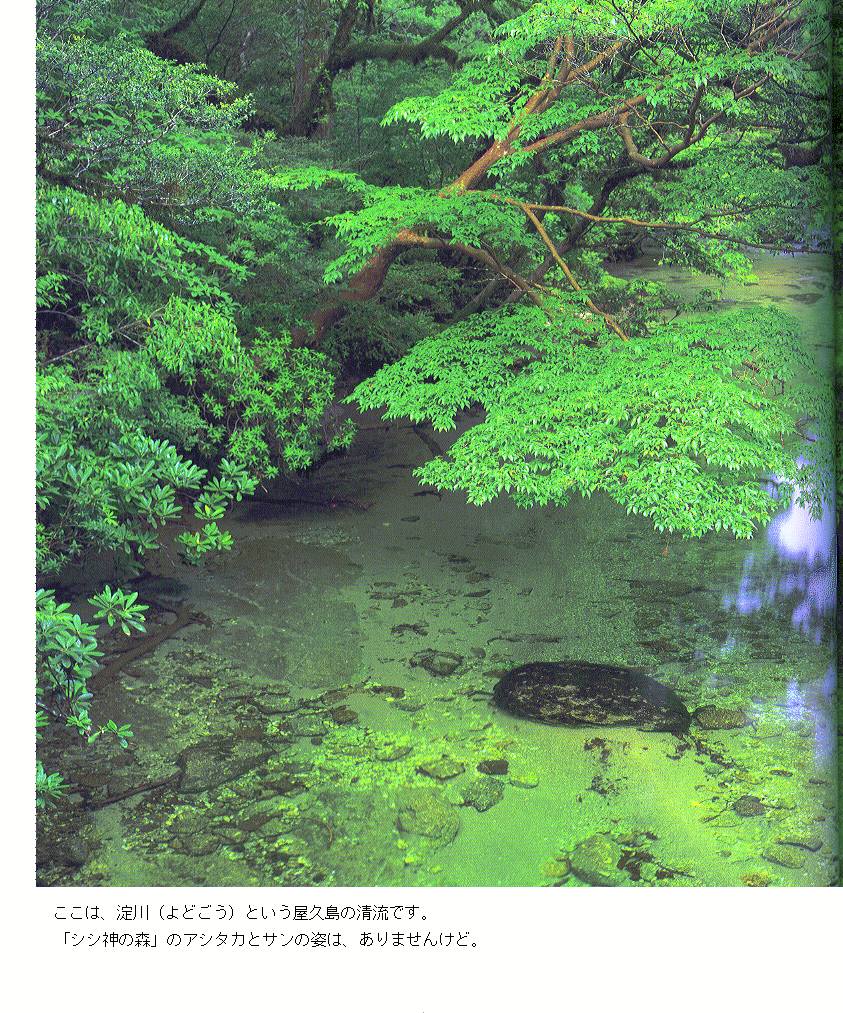 RIVER.JPG
