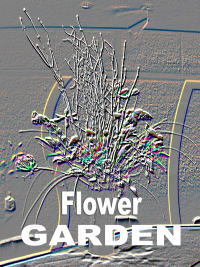 Flower Gaden