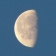4/1