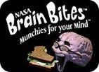 Brain Bites